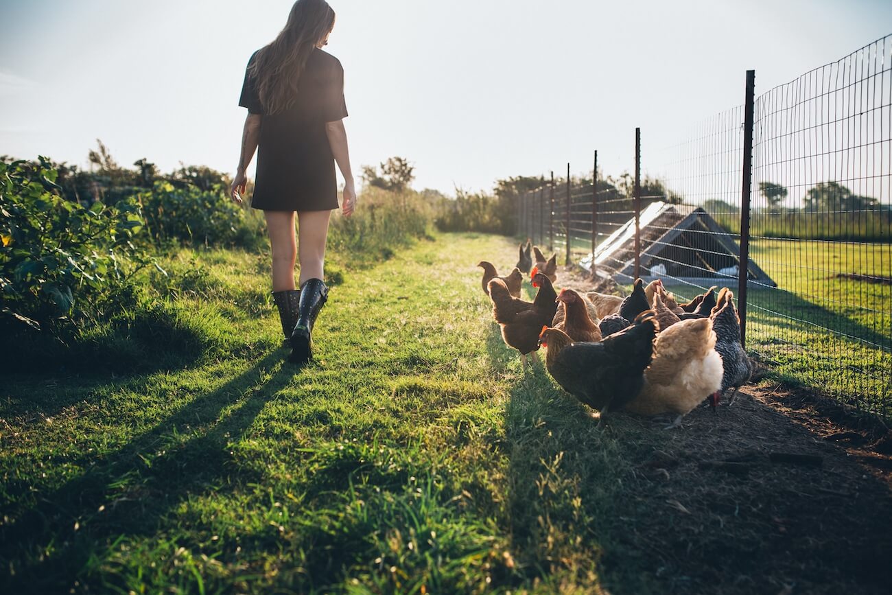 How to support free range farming?