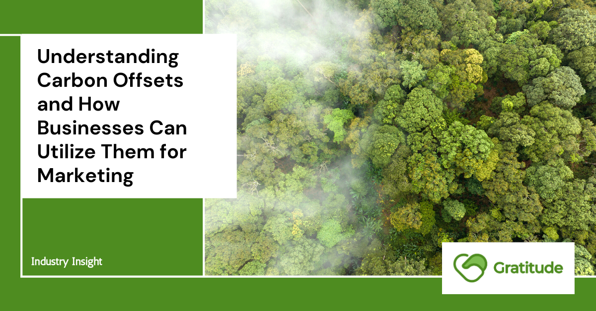 Understanding Carbon Offsets and How Businesses Can Utilize Them for Marketing