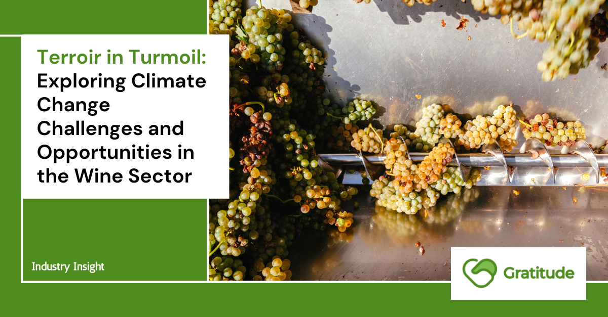 Terroir in Turmoil: Exploring Climate Change Challenges and Opportunities in the Wine Sector