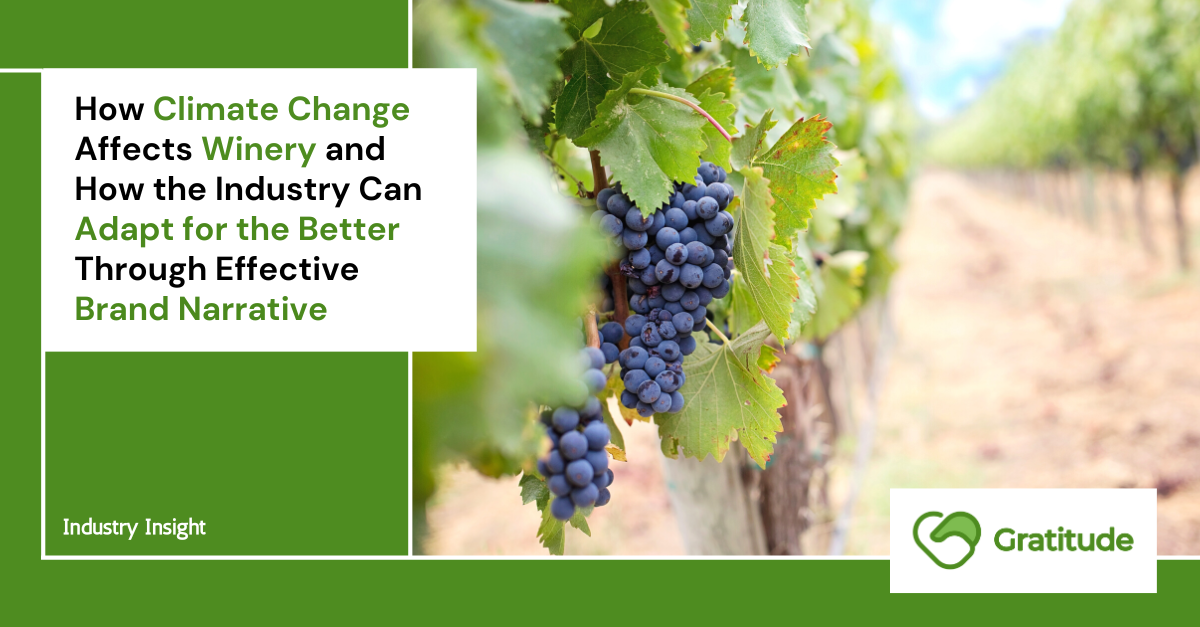 How Climate Change Affects Winery and How the Industry Can Adapt for the Better Through Effective Brand Narrative